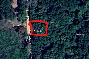 00 Tropic Ave, Interlachen, FL 32148 - Photo 1