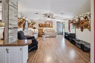 11949 SW 160th Ave, Brooker, FL 32622 - Photo 8