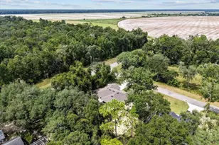 9990 NW 114 St, Chiefland, FL 32626 - Photo 50