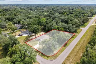 9990 NW 114 St, Chiefland, FL 32626 - Photo 42