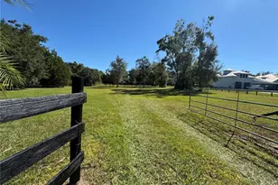 Tbd NE 185 Ave, Williston, FL 32696 - Photo 1