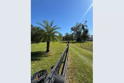Tbd NE 185 Avenue, Williston, FL 32696 - Photo 22