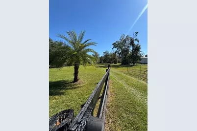Tbd NE 185 Avenue, Williston, FL 32696 - Photo 4