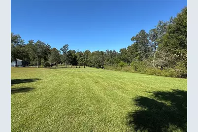 Tbd NE 185 Avenue, Williston, FL 32696 - Photo 10