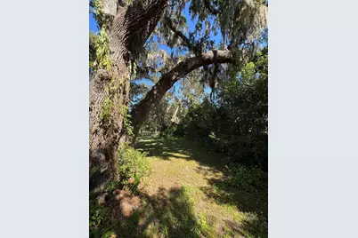 Tbd NE 185 Avenue, Williston, FL 32696 - Photo 14