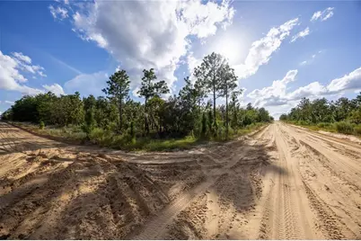 Tbd Grey Street E, Interlachen, FL 32148 - Photo 12