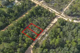 Tbd Grey Street E, Interlachen, FL 32148 - Photo 1