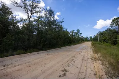 Tbd Grey Street E, Interlachen, FL 32148 - Photo 22