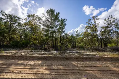 Tbd Grey Street E, Interlachen, FL 32148 - Photo 18