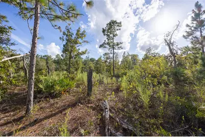 Tbd Grey Street E, Interlachen, FL 32148 - Photo 16