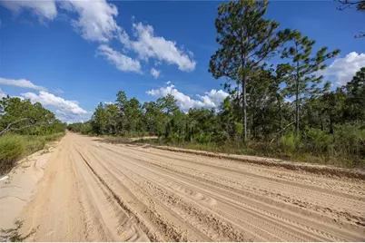 Tbd Grey Street E, Interlachen, FL 32148 - Photo 14