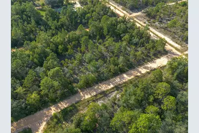 Tbd Grey Street E, Interlachen, FL 32148 - Photo 10