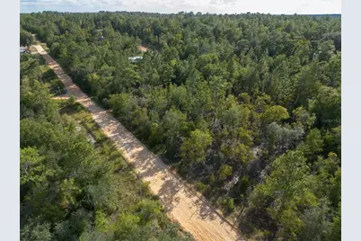 Tbd Grey Street E, Interlachen, FL 32148 - Photo 8