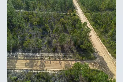 359 Dothan Street, Interlachen, FL 32148 - Photo 6