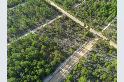 359 Dothan Street, Interlachen, FL 32148 - Photo 1