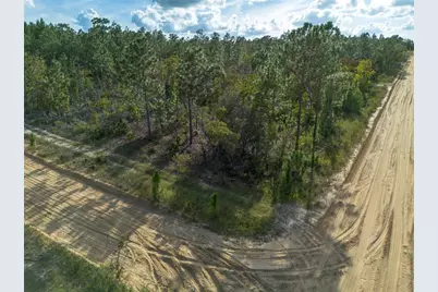 359 Dothan Street, Interlachen, FL 32148 - Photo 4