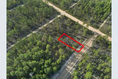 359 Dothan Street, Interlachen, FL 32148 - Photo 2