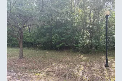 5946 NW 88th Way, Gainesville, FL 32653 - Photo 4