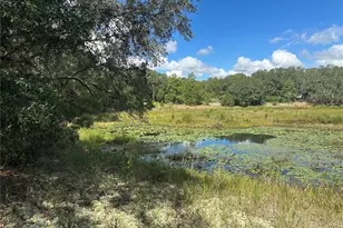 214 Vancouver Cir, Interlachen, FL 32148 - Photo 1