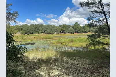 214 Vancouver Circle, Interlachen, FL 32148 - Photo 4