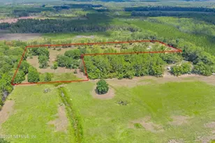 3632 NW 198th St, Starke, FL 32091 - Photo 54