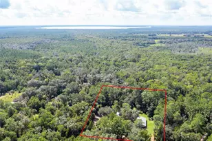 7505 SE 161st Terrace, Hawthorne, FL 32640 - Photo 54