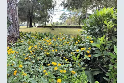 7203 NW 121 Avenue, Alachua, FL 32615 - Photo 30