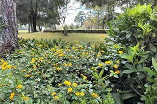 7203 NW 121st Ave, Alachua, FL 32615 - Photo 30