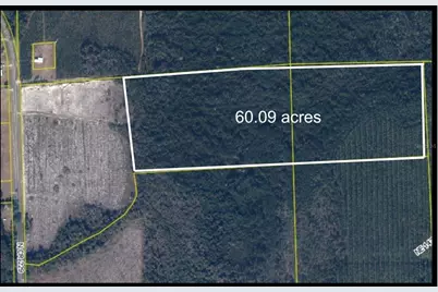Tbd N County Rd 229, Raiford, FL 32083 - Photo 1
