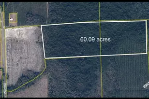Tbd N County Rd 229, Raiford, FL 32083 - Photo 1