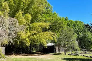 [Address not provided], Williston, FL 32696 - Photo 30