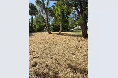 71 SE 893 Avenue, Old Town, FL 32680 - Photo 8