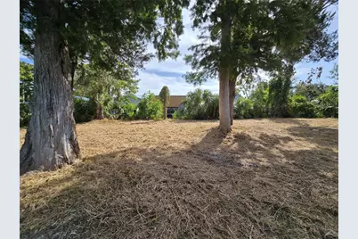 71 SE 893 Avenue, Old Town, FL 32680 - Photo 4