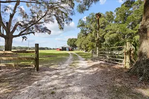 7551 NW 115th St, Chiefland, FL 32626 - Photo 40