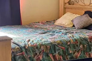 3219 SW 26th Dr, Gainesville, FL 32608 - Photo 4