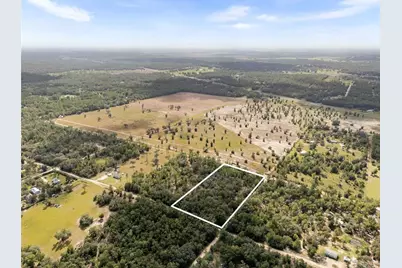 0 NE 75 Street, Bronson, FL 32621 - Photo 4