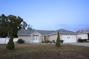 11194 Murraysville Dr, Spring Hill, FL 34609 - Photo 1