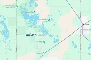 12851 NE 101Ct Ct, Archer, FL 32618 - Photo 12