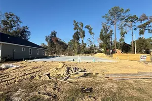 6702 SW 10th Ln, Gainesville, FL 32607 - Photo 2