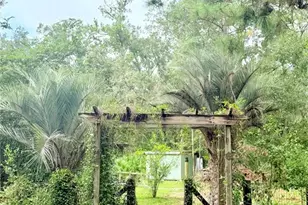 7324 NW 152nd Pl, Alachua, FL 32615 - Photo 24