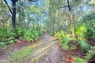 7324 NW 152nd Pl, Alachua, FL 32615 - Photo 2