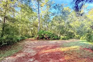 7324 NW 152nd Pl, Alachua, FL 32615 - Photo 8