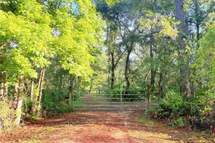 7324 NW 152nd Pl, Alachua, FL 32615 - Photo 16