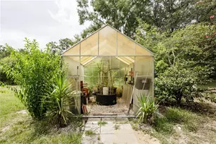 4812 NE 255th Dr, Melrose, FL 32666 - Photo 54