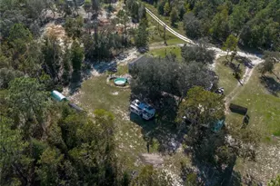 11071 NE 78th Terrace, Bronson, FL 32621 - Photo 16