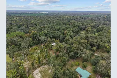 1377 NE 143rd Avenue, Old Town, FL 32680 - Photo 36