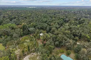 1377 NE 143rd Ave, Old Town, FL 32680 - Photo 36