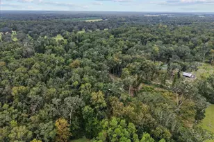 1377 NE 143rd Ave, Old Town, FL 32680 - Photo 34