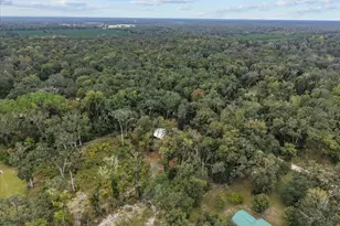 1377 NE 143rd Ave, Old Town, FL 32680 - Photo 32