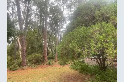 635 NE 9th Avenue, Gainesville, FL 32601 - Photo 16